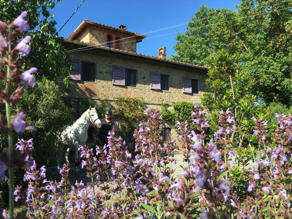 Farmhouse B&B Il Paretaio Barberino di Val dʼElsa Εξωτερικό φωτογραφία