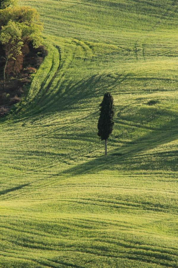 Farmhouse B&B Il Paretaio Barberino di Val dʼElsa Εξωτερικό φωτογραφία