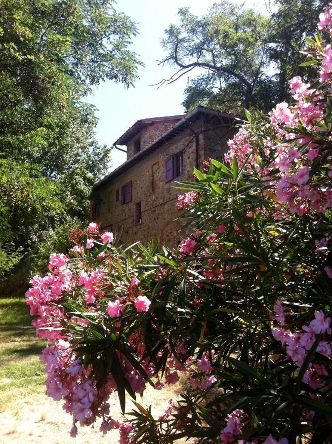 Farmhouse B&B Il Paretaio Barberino di Val dʼElsa Εξωτερικό φωτογραφία