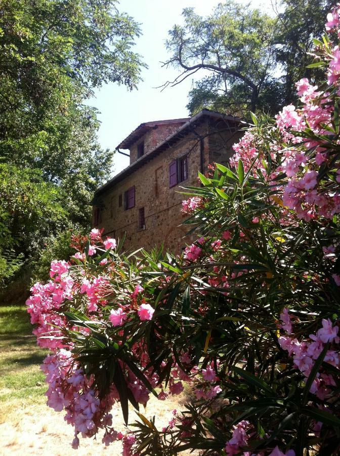 Il Paretaio Bed and Breakfast Barberino di Val dʼElsa Εξωτερικό φωτογραφία