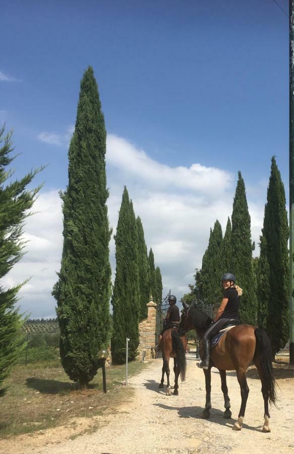 Farmhouse B&B Il Paretaio Barberino di Val dʼElsa Εξωτερικό φωτογραφία