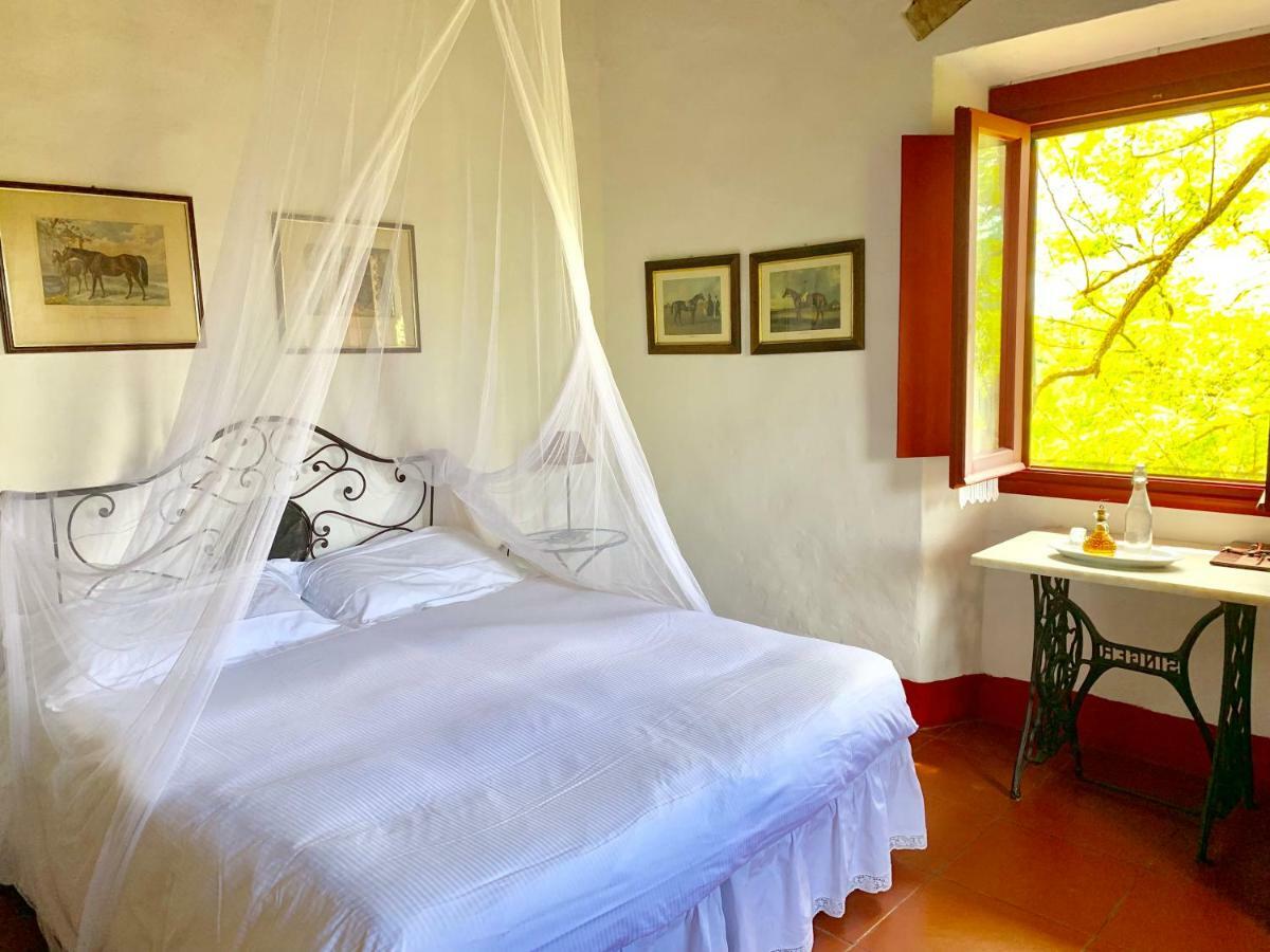 Farmhouse B&B Il Paretaio Barberino di Val dʼElsa Εξωτερικό φωτογραφία