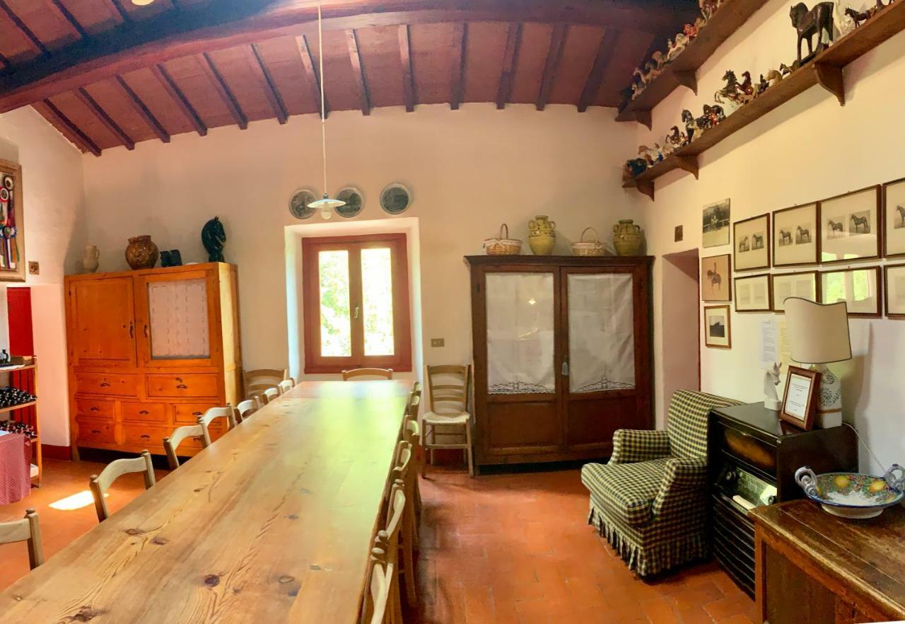 Farmhouse B&B Il Paretaio Barberino di Val dʼElsa Εξωτερικό φωτογραφία